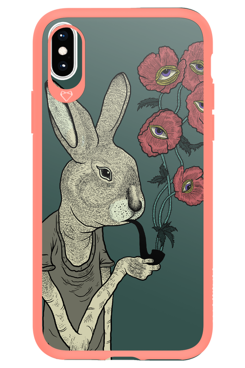 Bunny - Apple iPhone X