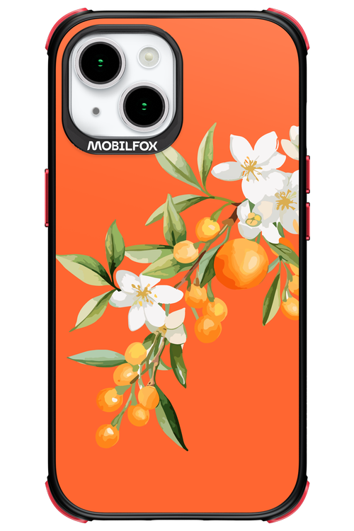 Amalfi Oranges - Apple iPhone 15