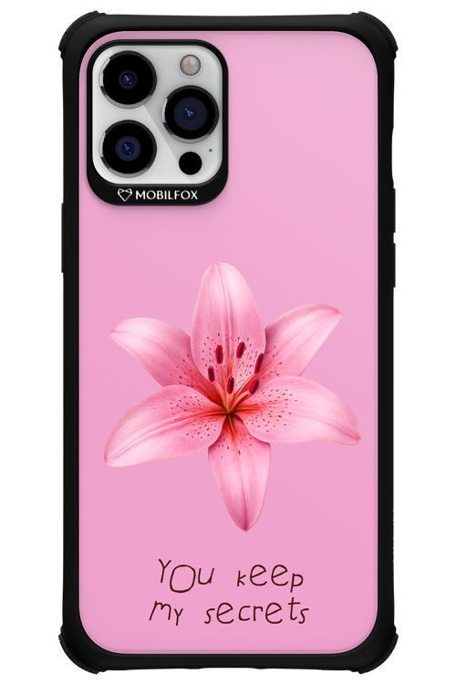 Secrets - Apple iPhone 12 Pro Max