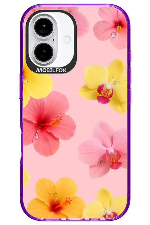Sunset Flowers - Apple iPhone 16