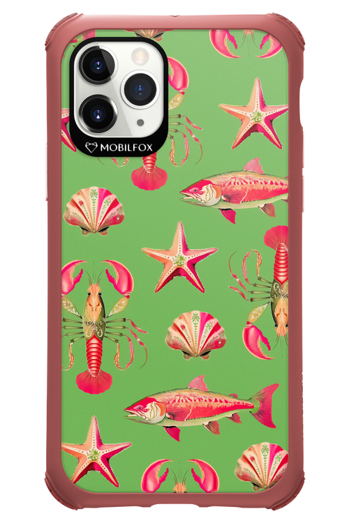 Sea Stars - Apple iPhone 11 Pro