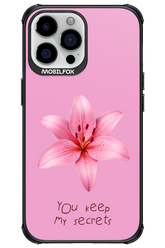 Secrets - Apple iPhone 13 Pro Max