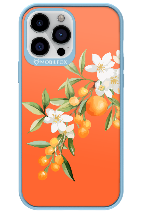 Amalfi Oranges - Apple iPhone 13 Pro Max