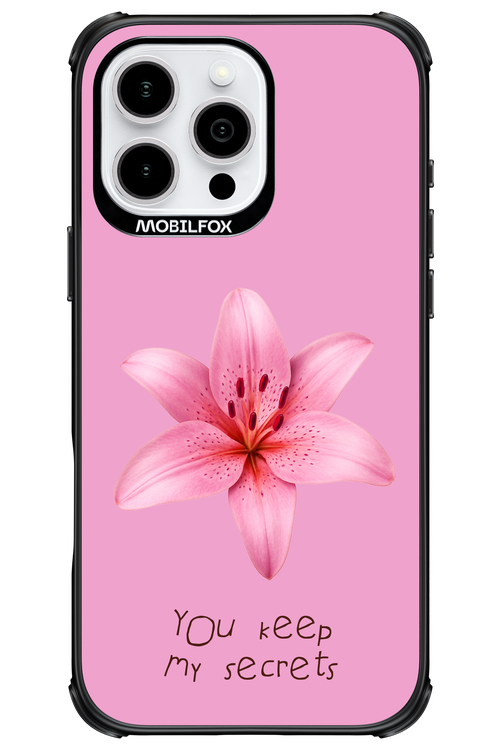 Secrets - Apple iPhone 16 Pro Max