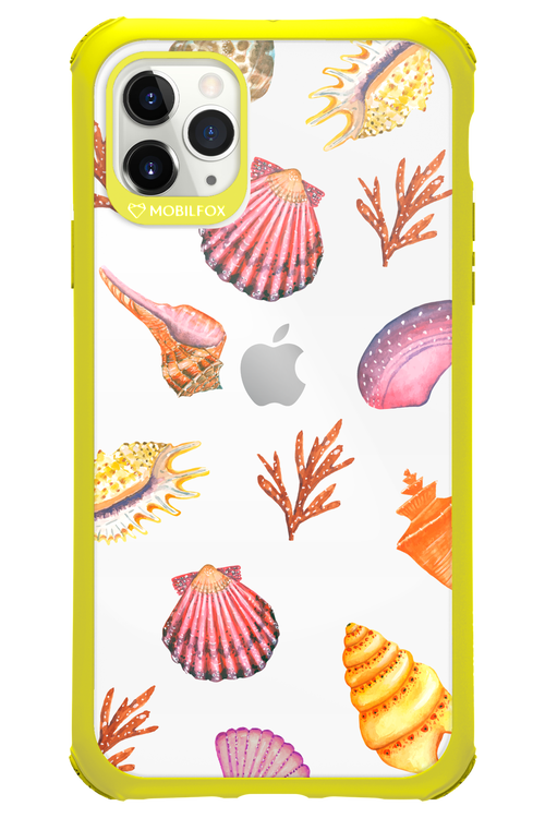 Sea Shells - Apple iPhone 11 Pro Max