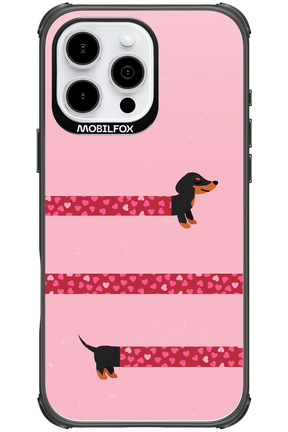 PAWS & KISSES 2.0 - Apple iPhone 16 Pro Max