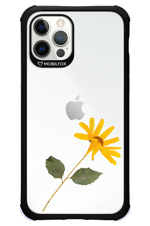 Pressed Flower - Apple iPhone 12 Pro