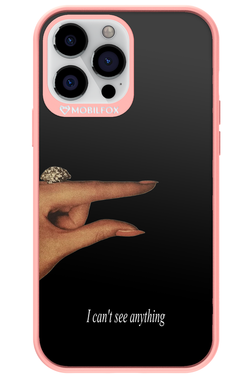 I can't see anything 2.0 - Apple iPhone 13 Pro Max