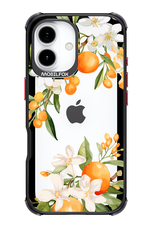 Amalfi Orange 2.0 - Apple iPhone 17