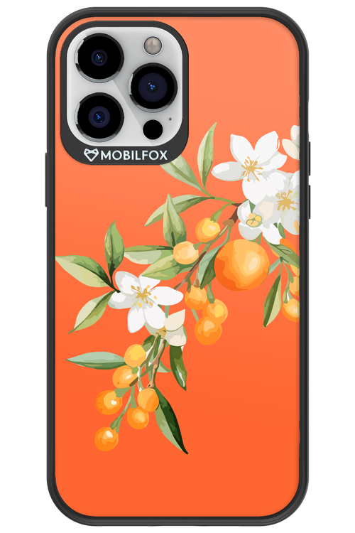 Amalfi Oranges - Apple iPhone 13 Pro Max