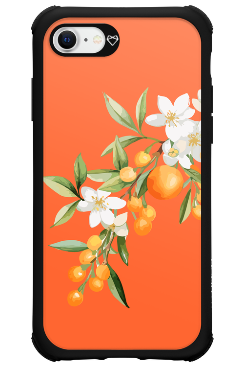 Amalfi Oranges - Apple iPhone SE 2020