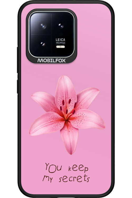 Secrets 2.0 - Xiaomi 13