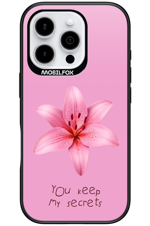 Secrets - Apple iPhone 16 Pro