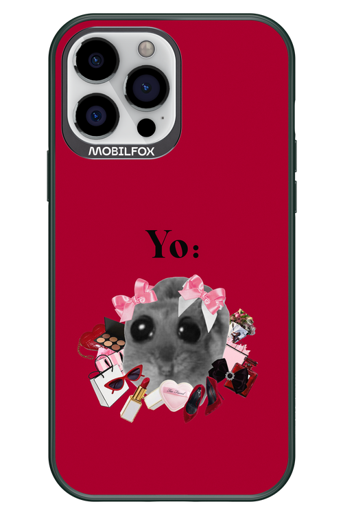 YO - Apple iPhone 13 Pro Max