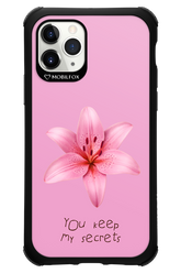 Secrets - Apple iPhone 11 Pro