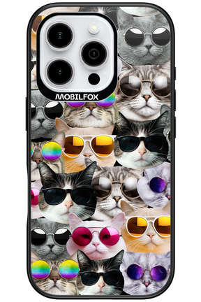 Cat World - Apple iPhone 16 Pro