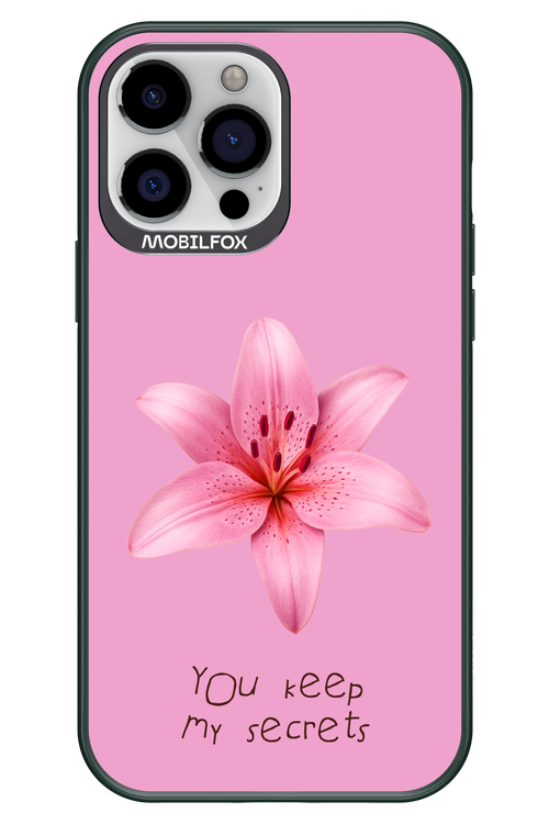 Secrets - Apple iPhone 13 Pro Max