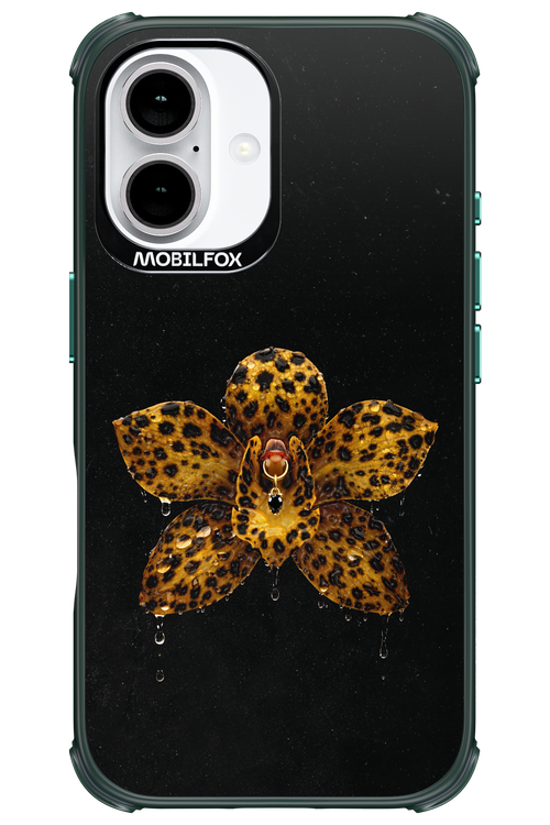 Wet & Wild 2.0 - Apple iPhone 16