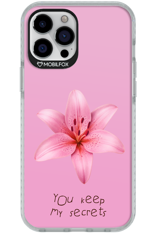 Secrets - Apple iPhone 12 Pro Max