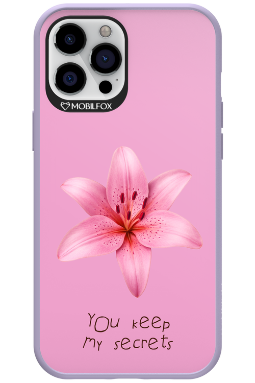 Secrets 2.0 - Apple iPhone 12 Pro Max