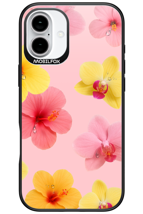 Sunset Flowers - Apple iPhone 16 Plus