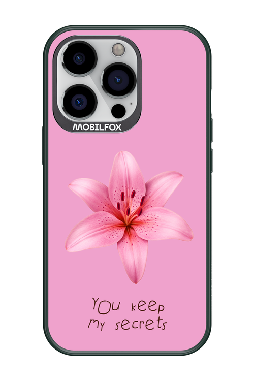 Secrets 2.0 - Apple iPhone 13 Pro