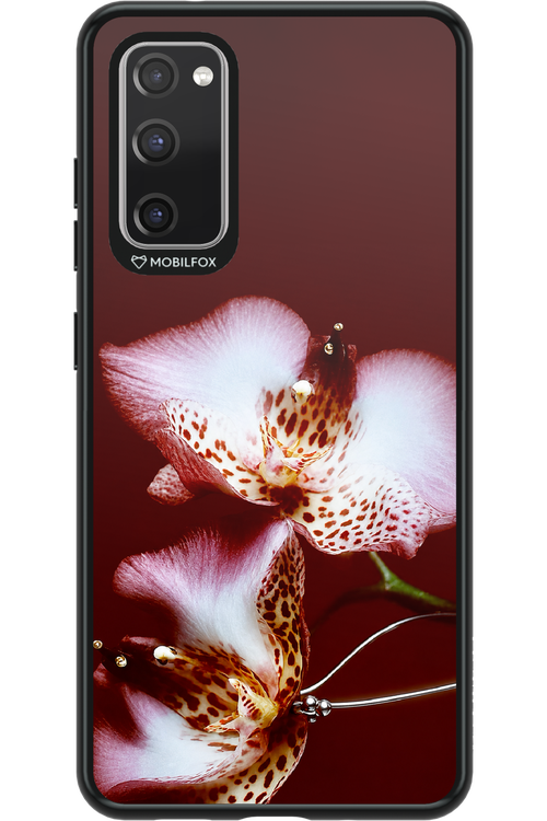 Leobloomy 2.0 - Samsung Galaxy S20 FE