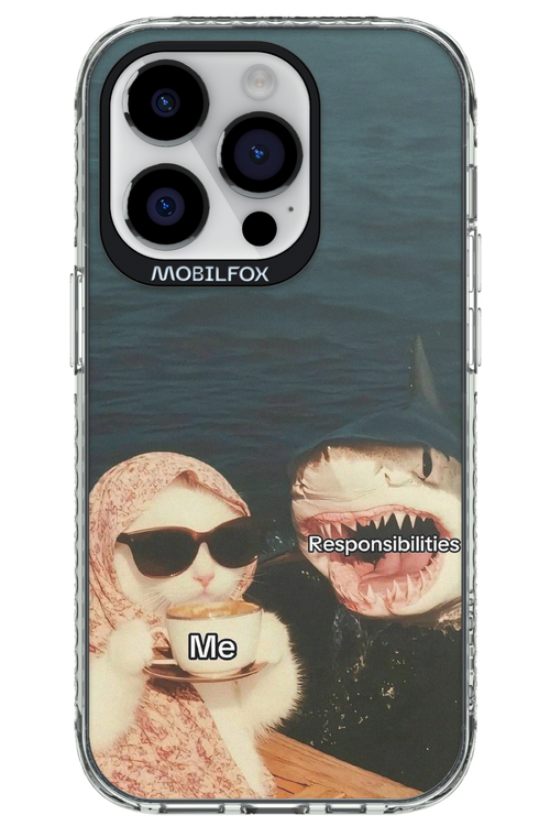 Responsibilities - Apple iPhone 14 Pro