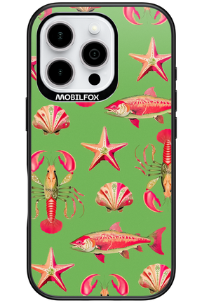 Sea Stars - Apple iPhone 16 Pro