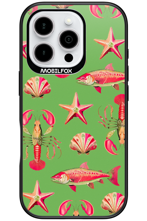 Sea Stars - Apple iPhone 16 Pro
