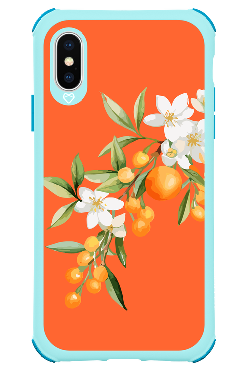 Amalfi Oranges - Apple iPhone XS