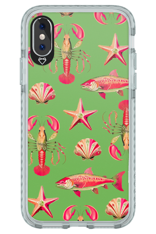 Sea Stars - Apple iPhone XS