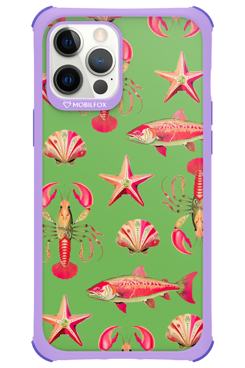 Sea Stars - Apple iPhone 12 Pro Max