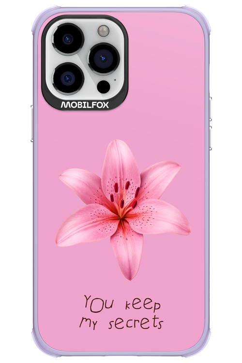 Secrets 2.0 - Apple iPhone 13 Pro Max