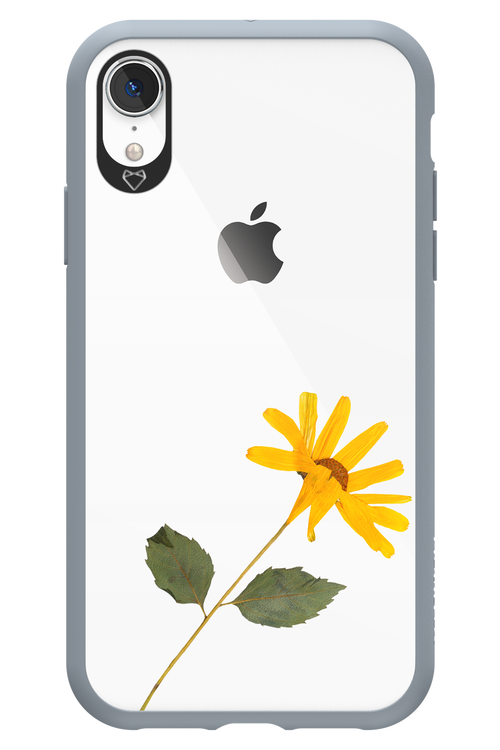 Pressed Flower - Apple iPhone XR
