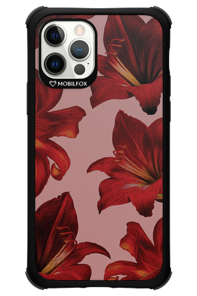 Amaryllis Mist - Apple iPhone 12 Pro