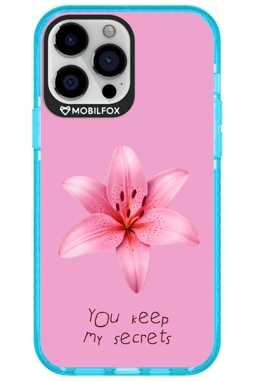 Secrets 2.0 - Apple iPhone 13 Pro Max