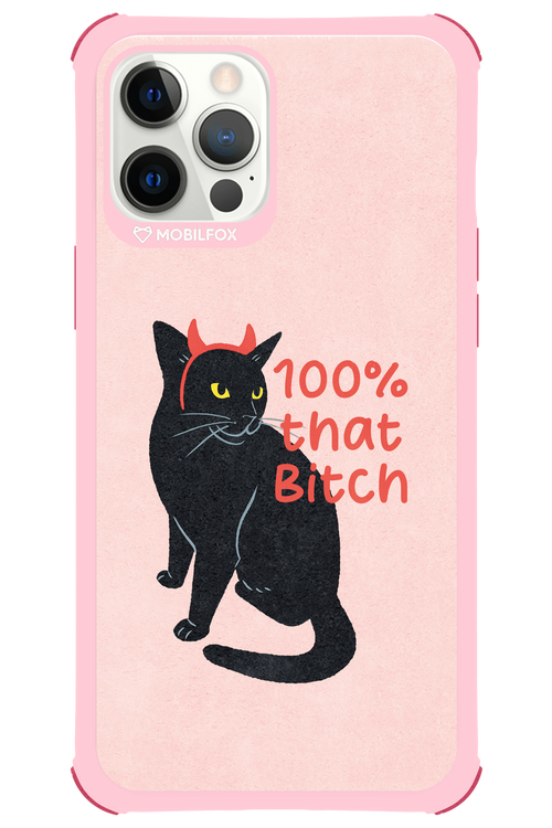 Hundred 2.0 - Apple iPhone 12 Pro Max