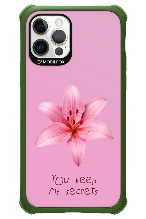 Secrets 2.0 - Apple iPhone 12 Pro