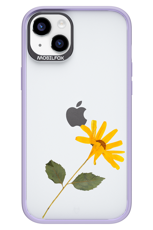 Pressed Flower - Apple iPhone 14 Plus