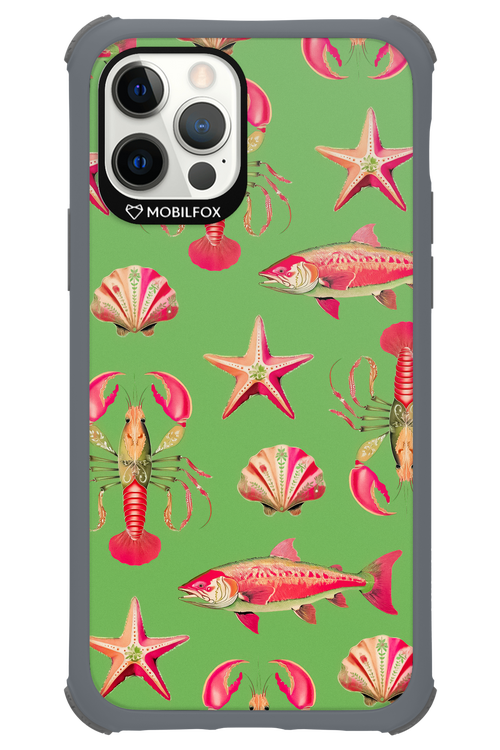 Sea Stars - Apple iPhone 12 Pro