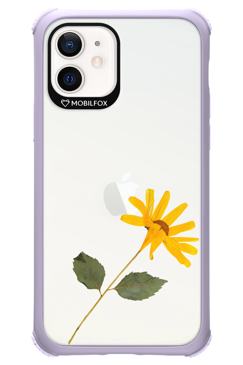 Pressed Flower - Apple iPhone 12