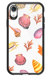 Sea Shells - Apple iPhone XR