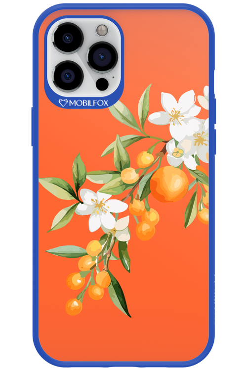 Amalfi Oranges - Apple iPhone 12 Pro Max