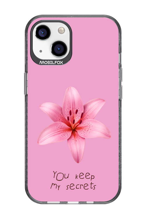 Secrets - Apple iPhone 13