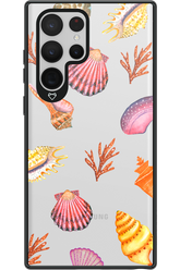 Sea Shells - Samsung Galaxy S22 Ultra