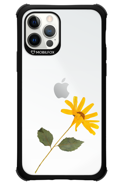Pressed Flower - Apple iPhone 12 Pro