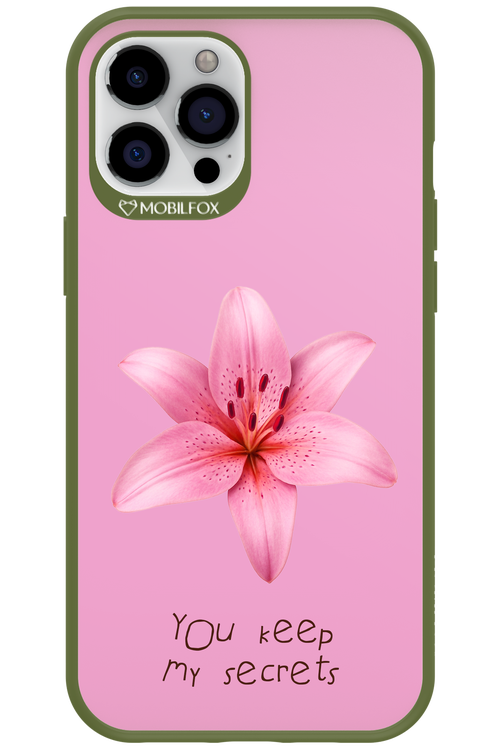 Secrets 2.0 - Apple iPhone 12 Pro Max