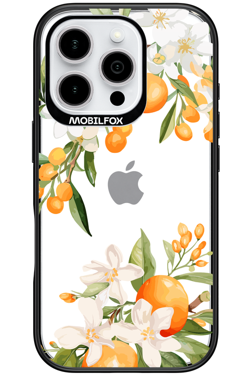 Amalfi Orange 2.0 - Apple iPhone 16 Pro