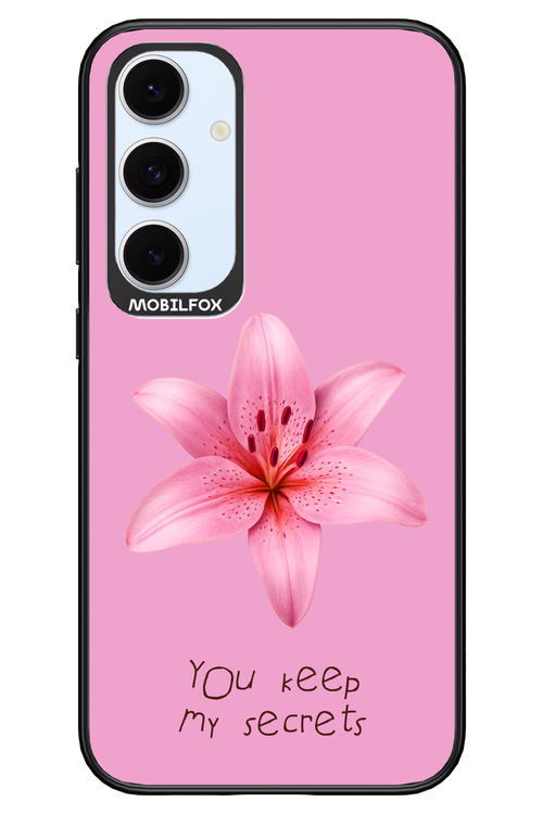 Secrets 2.0 - Samsung S24 FE